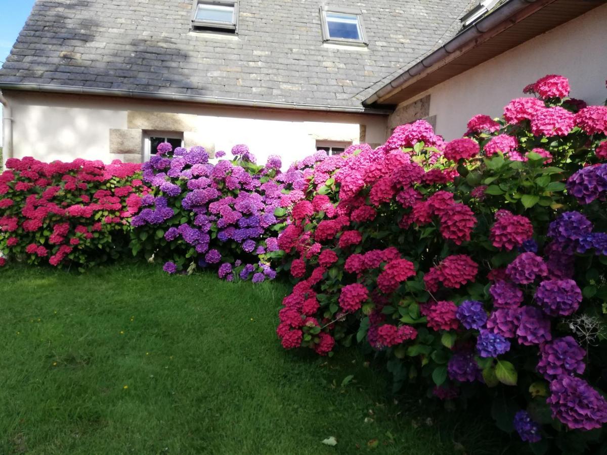 Le Tregonnec, Pres De Morlaix, Roscoff Bed and Breakfast Plouvorn Eksteriør billede